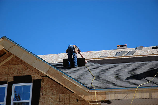 Roof Moss and Algae Removal in Carrollton, KY