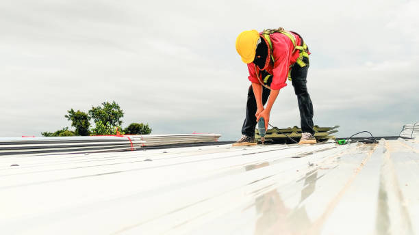 Best Flat Roofing  in Carrollton, KY