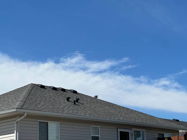 Fast & Reliable Emergency Roof Repairs in Carrollton, KY